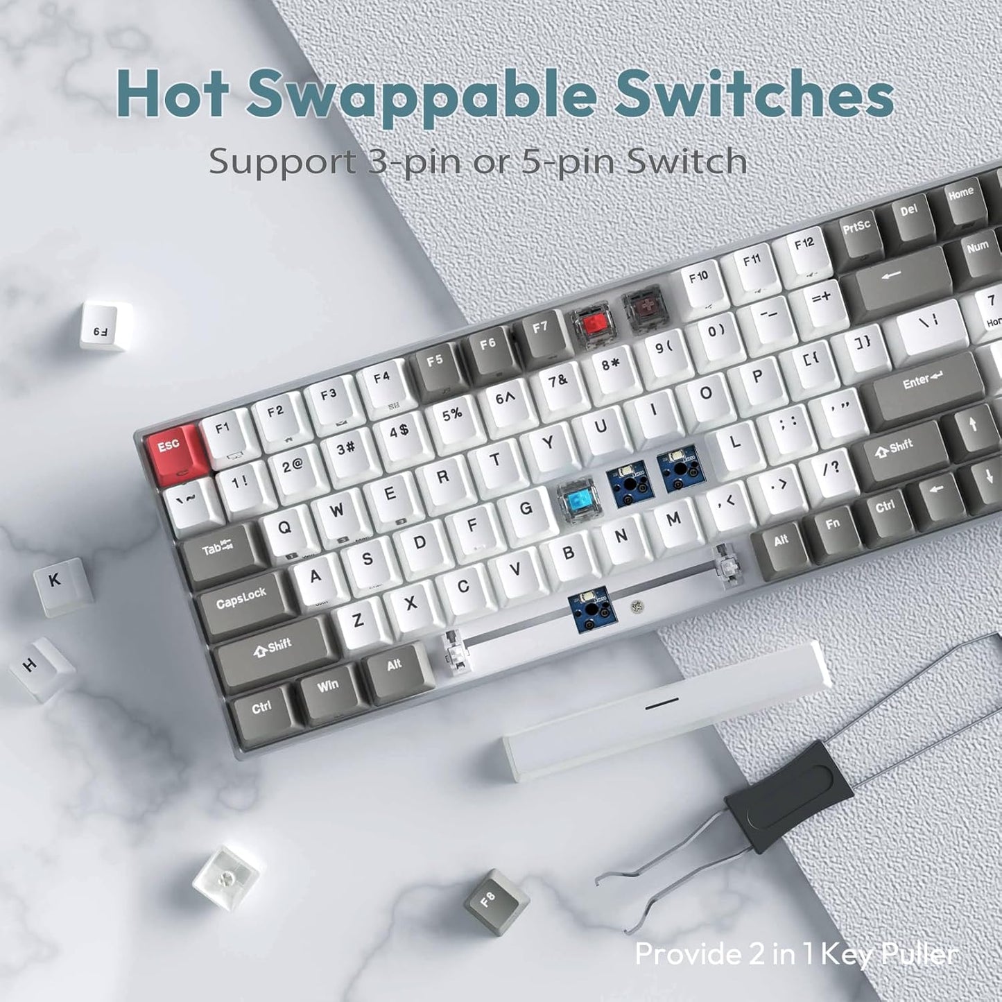 RK100 Wireless Mechanical Keyboard RGB Backlit Bluetooth5.1/2.4G/Wired 96% Full Size 100-Key Hot Swappable Gaming Keyboard Red Switch Classic