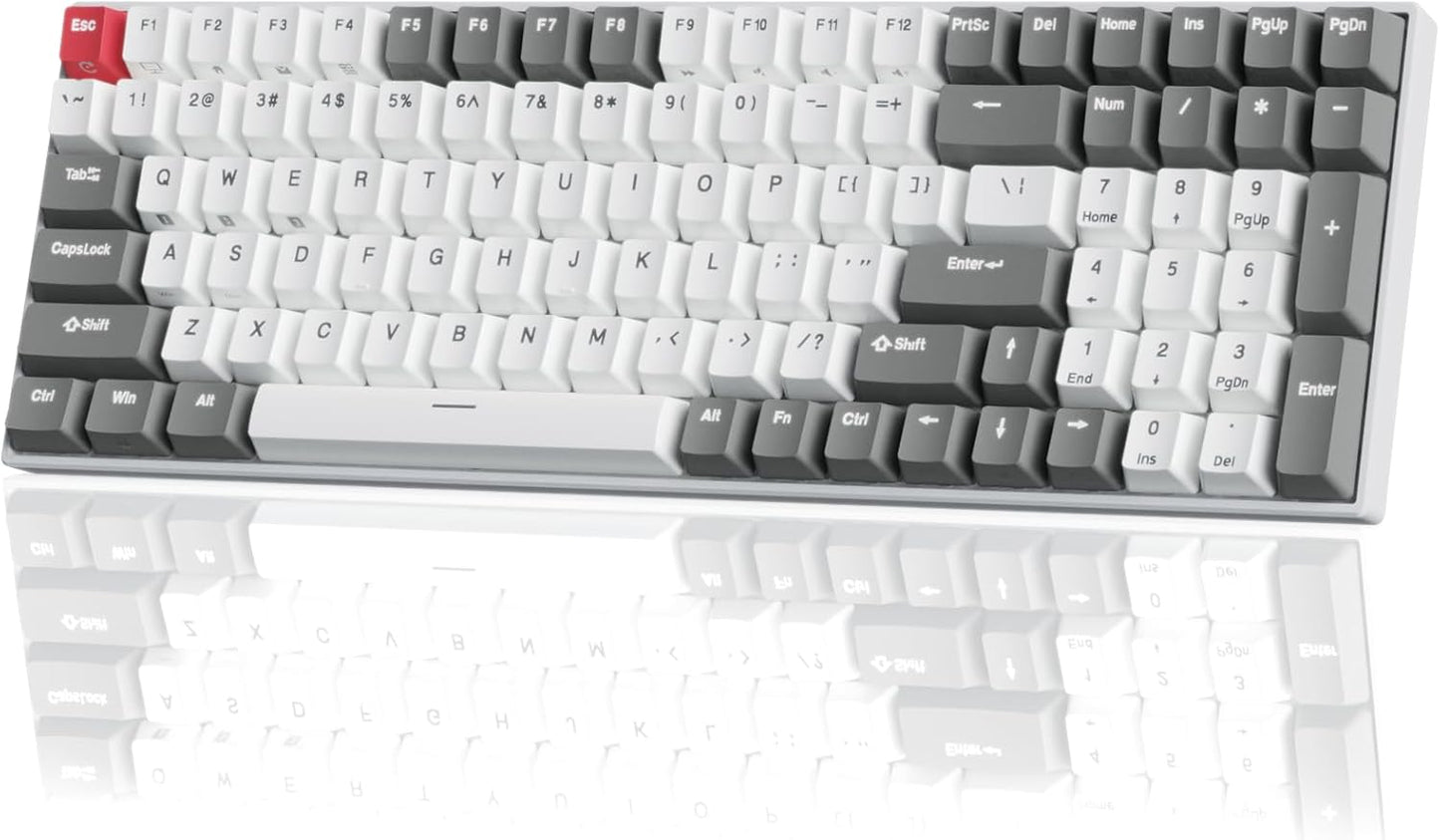 RK100 Wireless Mechanical Keyboard RGB Backlit Bluetooth5.1/2.4G/Wired 96% Full Size 100-Key Hot Swappable Gaming Keyboard Red Switch Classic